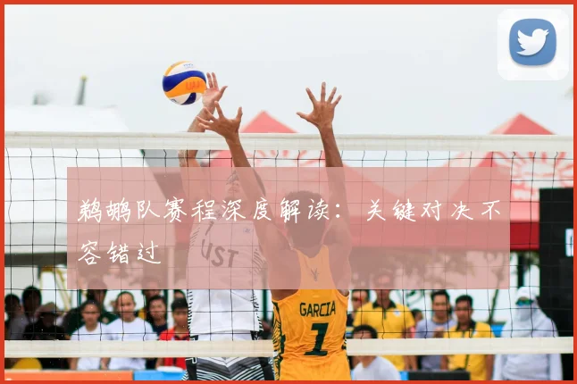 鹈鹕队赛程深度解读:关键对决不容错过
